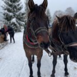 Coś się kończy, coś zaczyna – moment na podsumowanie zrealizowanych działań